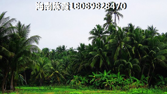 海南陵水富力湾g座公寓哪里有（海南公寓住宅大全）