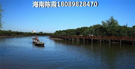 香水湾PK马袅湾“候鸟”如何选？海南香水湾醉便宜的房地产