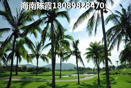 陵水养老醉好的地方是哪里，兆南椰林壹号可以养老吗？
